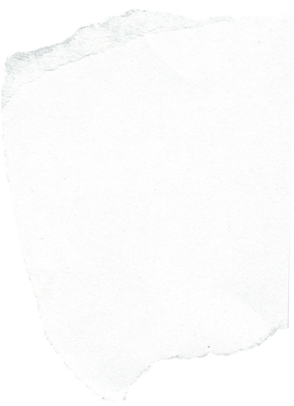 White Paper